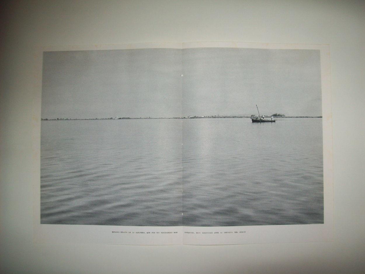 LAMINA 21933: La Albufera