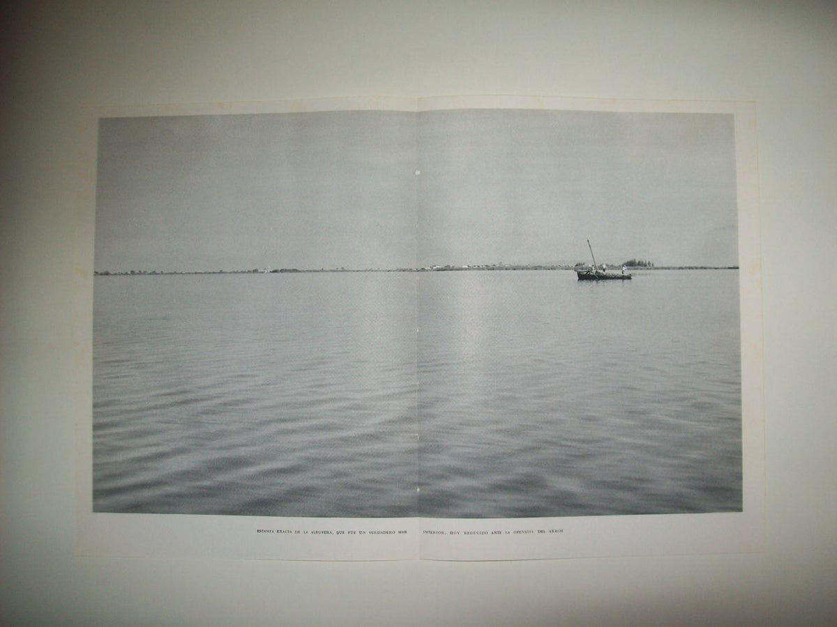 LAMINA 21933: La Albufera