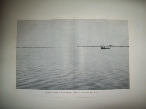 LAMINA 21933: La Albufera