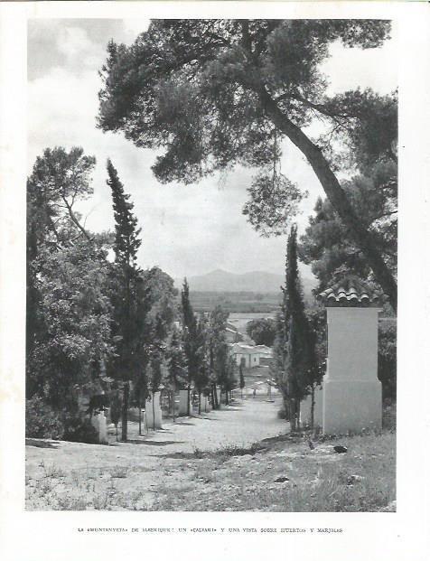 LAMINA 21922: La Muntanyeta de Alberique