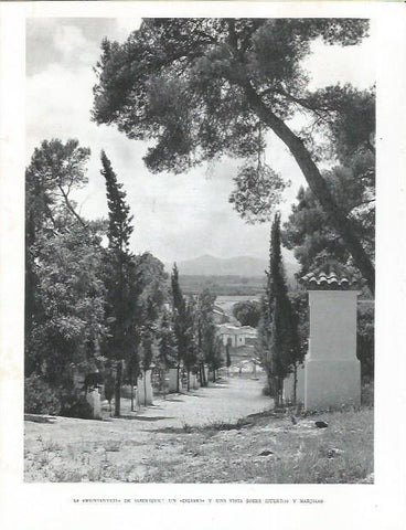 LAMINA 21922: La Muntanyeta de Alberique