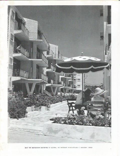 LAMINA 21952: Apartamentos en Benidorm