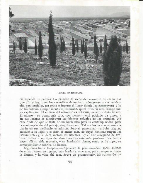 LAMINA 21887: Calvario en Torreblanca