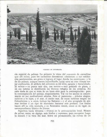 LAMINA 21887: Calvario en Torreblanca