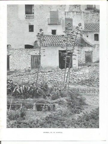LAMINA 21886: Casa en Oropesa