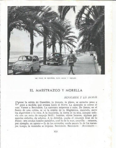 LAMINA 21885: Paseo en Benicasim