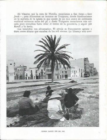 LAMINA 21893: Mujeres en Vinaroz