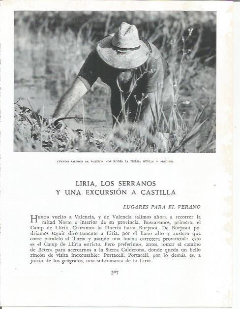 LAMINA 21911: Segando en el campo