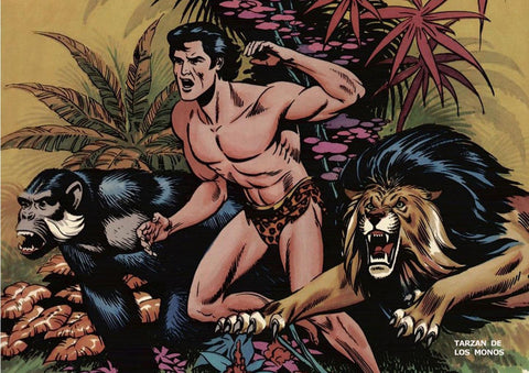Poster DIN 4 numero 0034: Tarzan