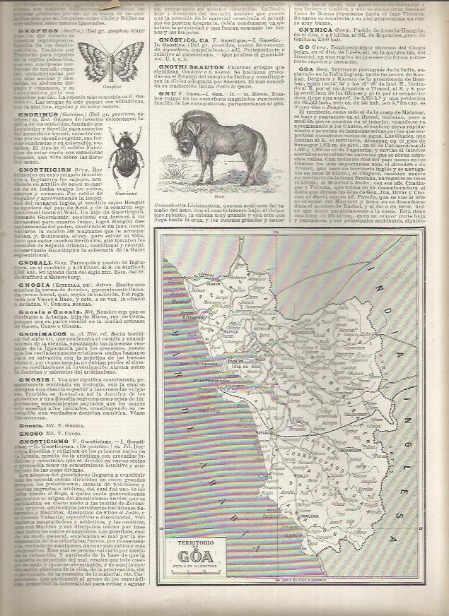 LAMINA 23228: Mapa del territorio de Goa