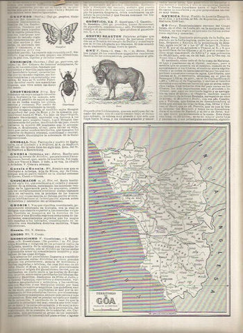 LAMINA 23228: Mapa del territorio de Goa