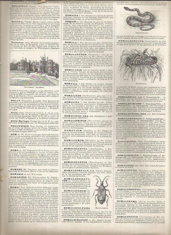 LAMINA 23272: Carcel de Holloway en Londres