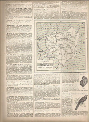 LAMINA 23163: Mapa del Comitato de Haromszek, Austria-Hungria