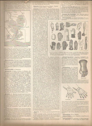 LAMINA 23191: Tipos de guante