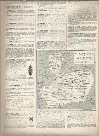 LAMINA 23361: Mapa del Vilayato de Alepo, Siria