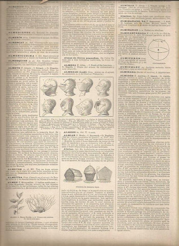 LAMINA 23348: Tipos de almetes