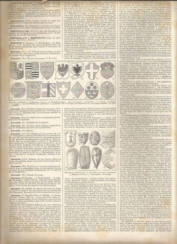 LAMINA 23306: Tipos de escudos