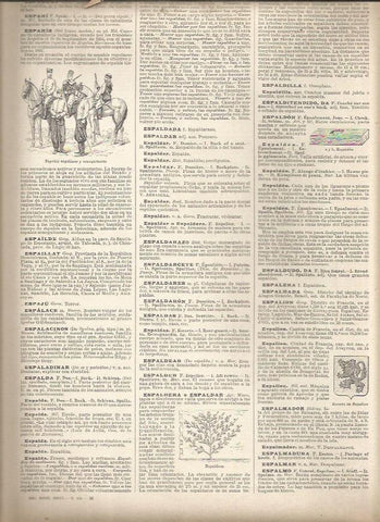 LAMINA 23301: Espahis de Argelia y Senegal