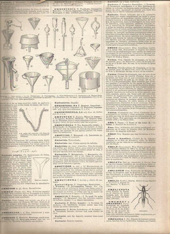 LAMINA 23317: Tipos de embudo