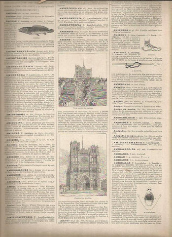 LAMINA 23339: Catedral y vista de Amiens, Francia