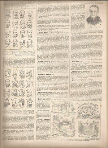 LAMINA 22986: Tipos de barba y de barbacana