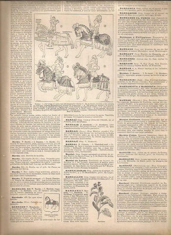 LAMINA 22982: Tipos de barda