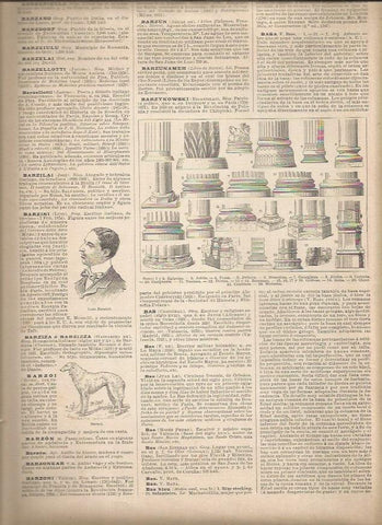 LAMINA 22977: Tipos de baña de columnas