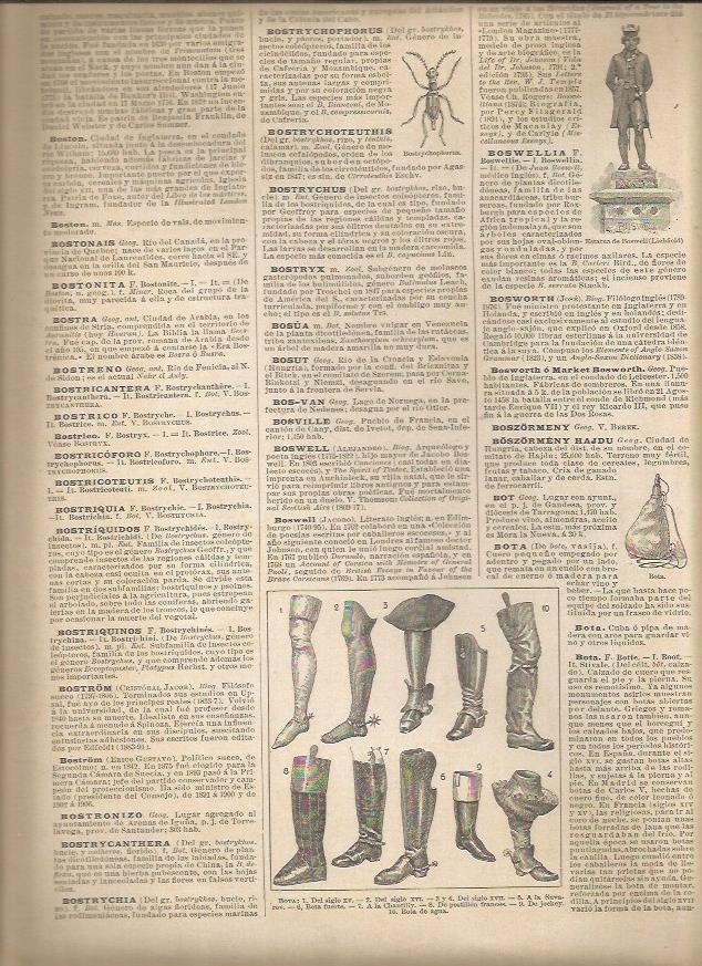 LAMINA 22930: Tipos de bota
