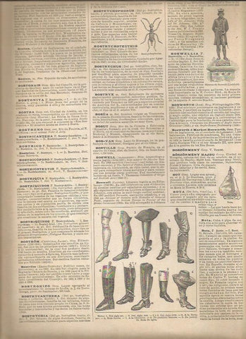 LAMINA 22930: Tipos de bota