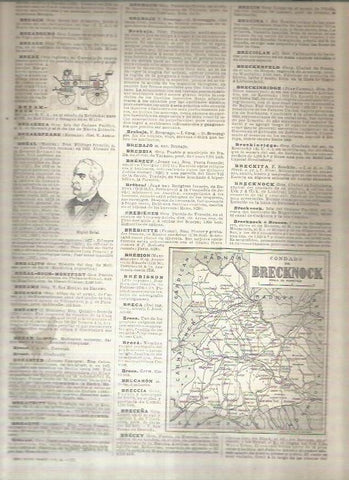 LAMINA 22920: Mapa del condado de Brecknock, Inglaterra