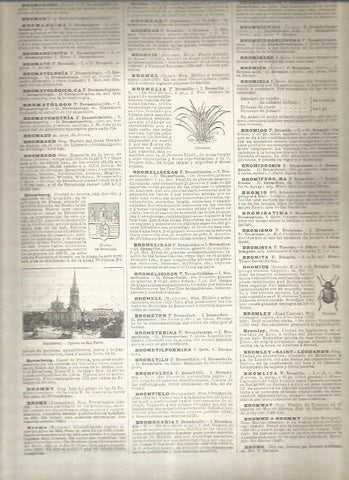 LAMINA 22915: Iglesia de San Pablo en Bromberg, Alemania