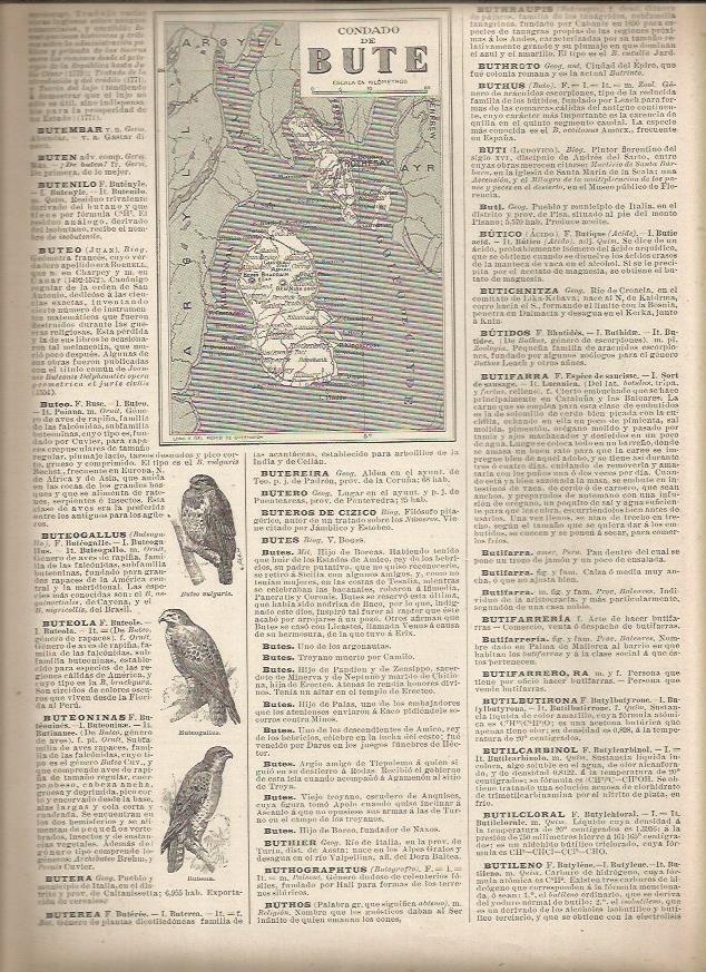 LAMINA 22910: Mapa del condado de Bute, Inglaterra