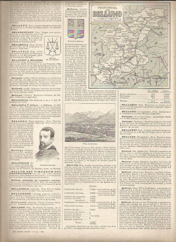 LAMINA 22957: Mapa de la Provincia de Belluno, Italia