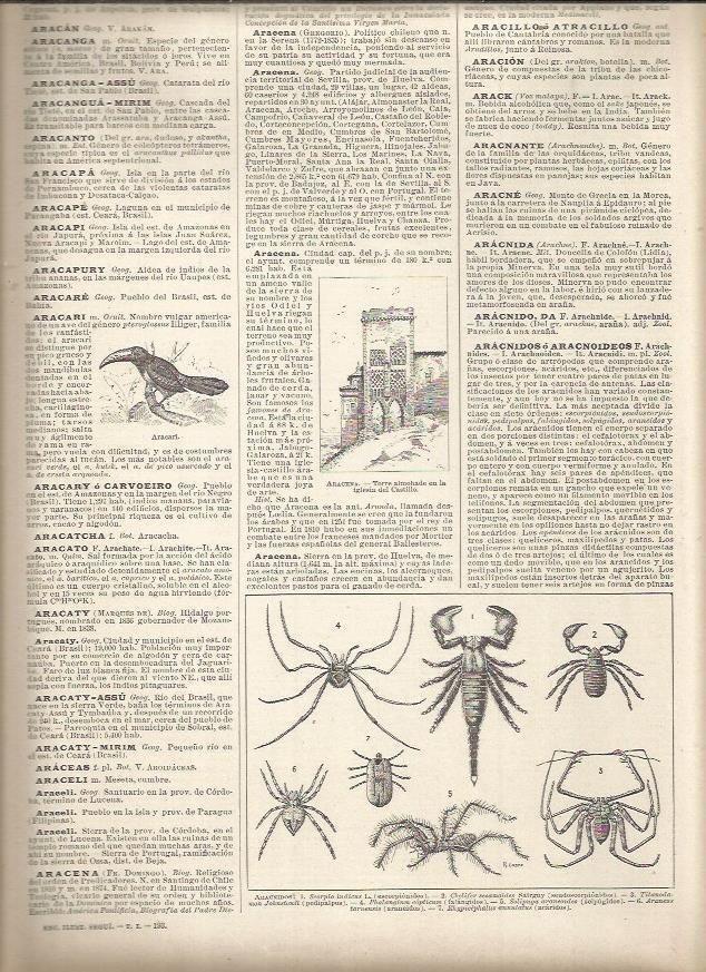 LAMINA 23122: Especies de aracnidos