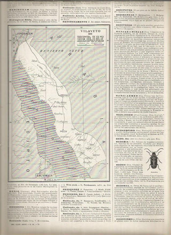 LAMINA 23156: Mapa del Vilayeto de Hedjaz