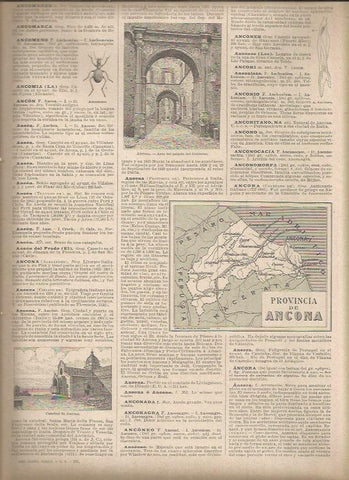 LAMINA 23150: Mapa de la Provincia de Ancona, Italia