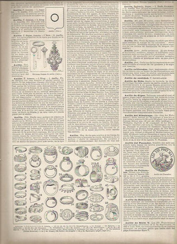 LAMINA 23136: Tipos de anillos