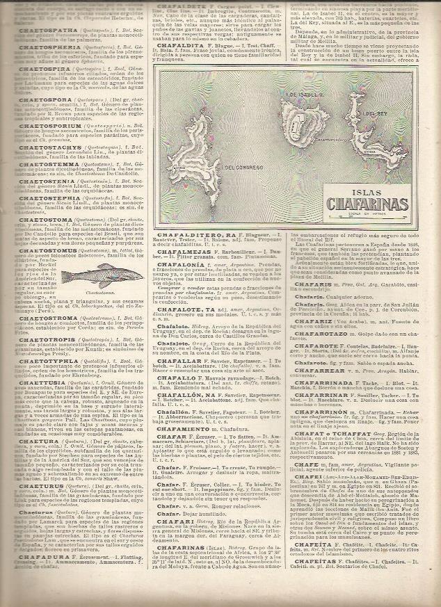 LAMINA 23040: Mapa de las Islas Chafarinas