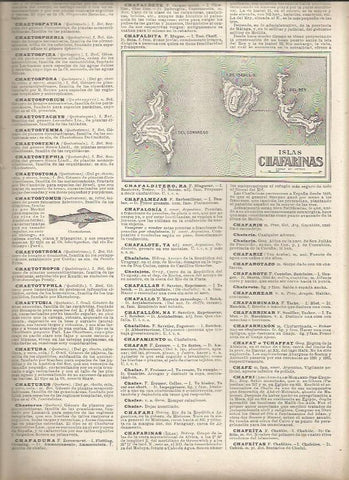 LAMINA 23040: Mapa de las Islas Chafarinas