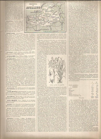 LAMINA 23078: Mapa de la Provincia de Avellino, Italia