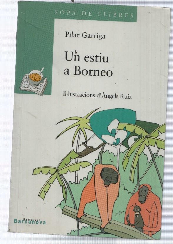 Un estiu a Borneo