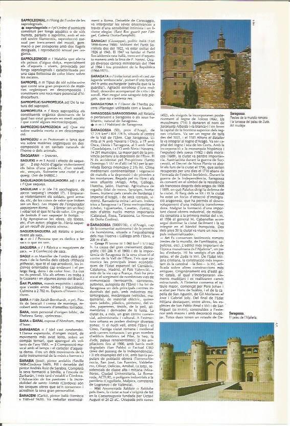 LAMINA 24384: Muralla romana y Palacio de la Aljaferia en Zaragoza