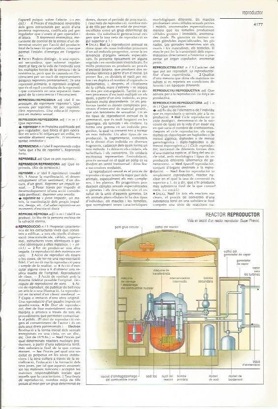 LAMINA 24349: Reactor reproductor