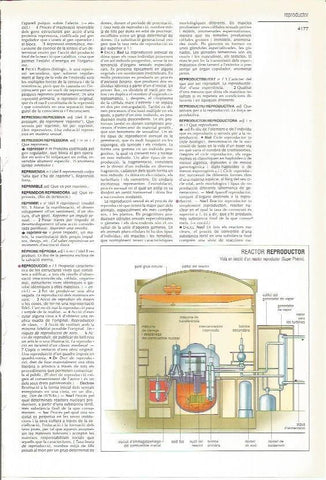 LAMINA 24349: Reactor reproductor