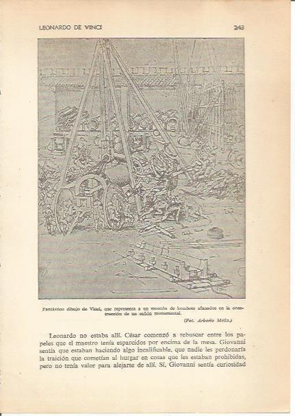 LAMINA 24334: Dibujo por Leonardo Da Vinci