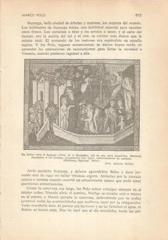 LAMINA 24313: El Viejo de la Montña de Milice