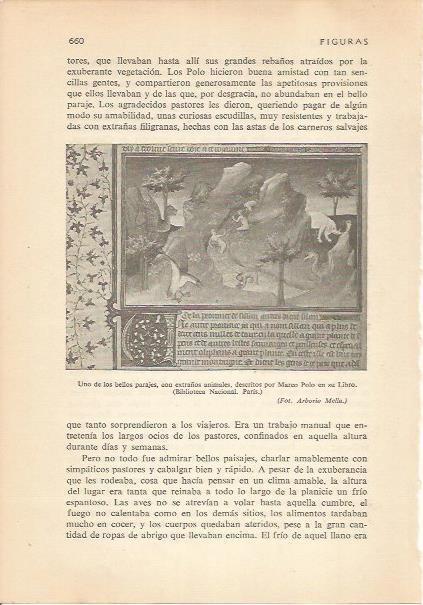 LAMINA 24315: Animales descritos por Marco Polo