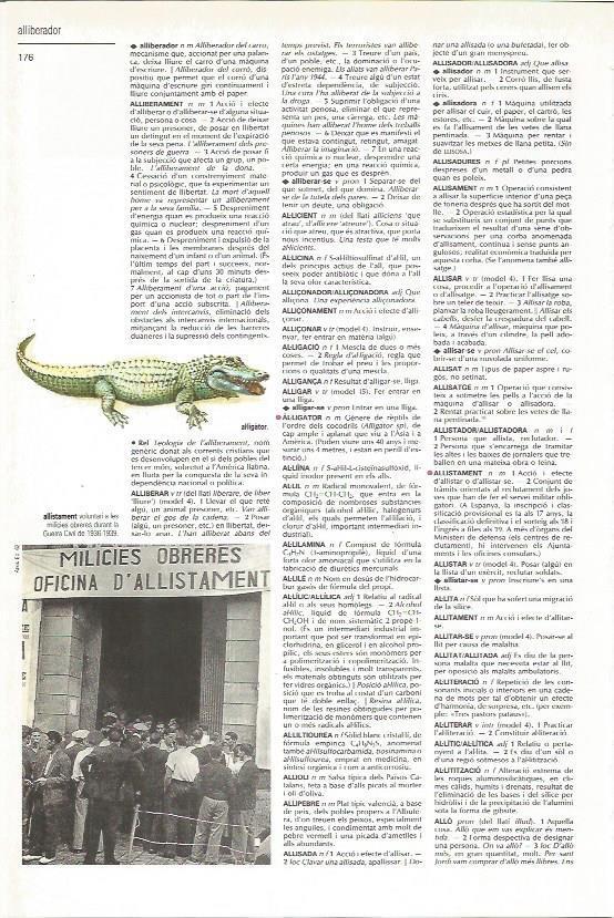 LAMINA 24559: Voluntarios para la Guerra Civil de España