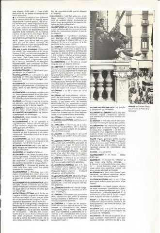 LAMINA 24560: Francesc Macia en la Generalitat