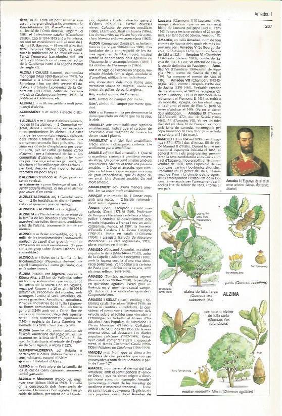 LAMINA 24567: Encina